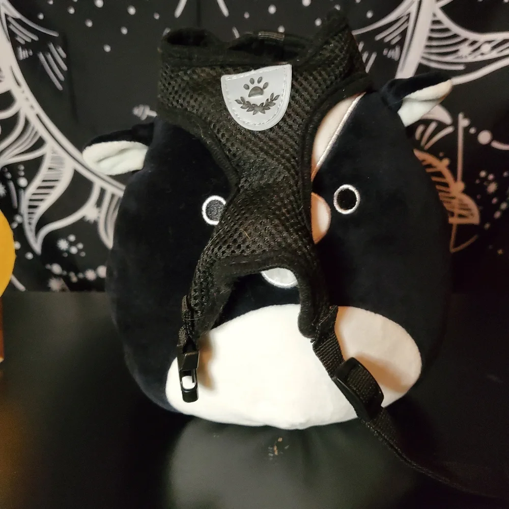 Small Pet Harness Bundle